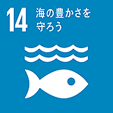 【アイコン】SDGs目標14「海の豊かさを守ろう」